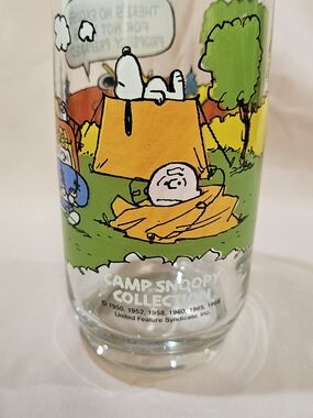 Camp Snoopy Collection Glass - Snoopy & Charlie Brown